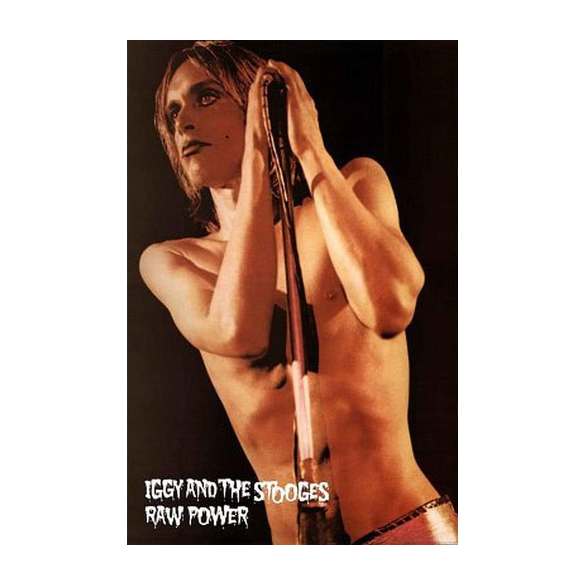Iggy and the Stooges Poster