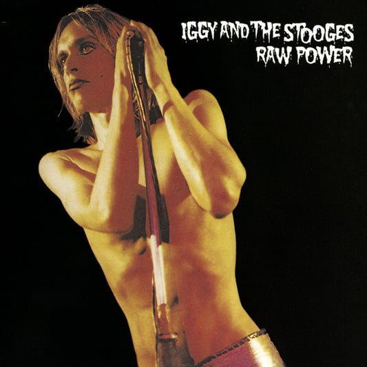 Iggy & The Stooges Raw Power CD